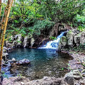 2* Guest house Hamakua
